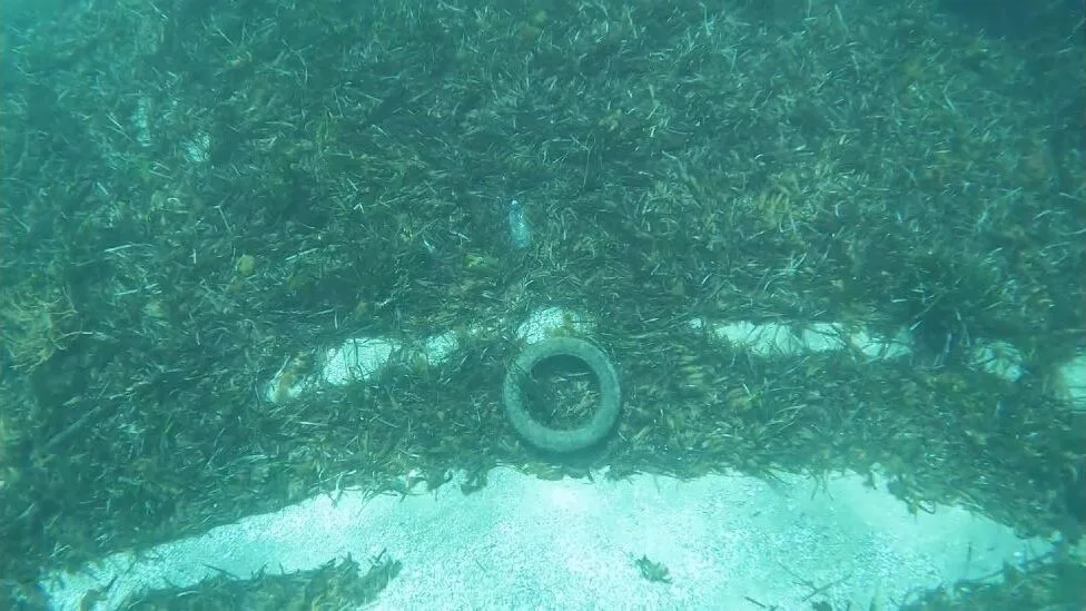 A tyre lying in a seagrass meadow, filmed from the Platypus in Southern France