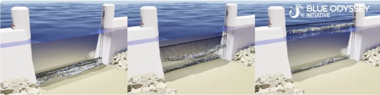 Illustration of passive interception modules on a shallow seabed