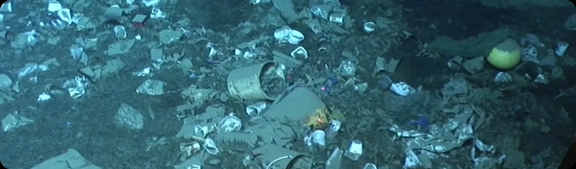 Macro-waste lying on the seabed